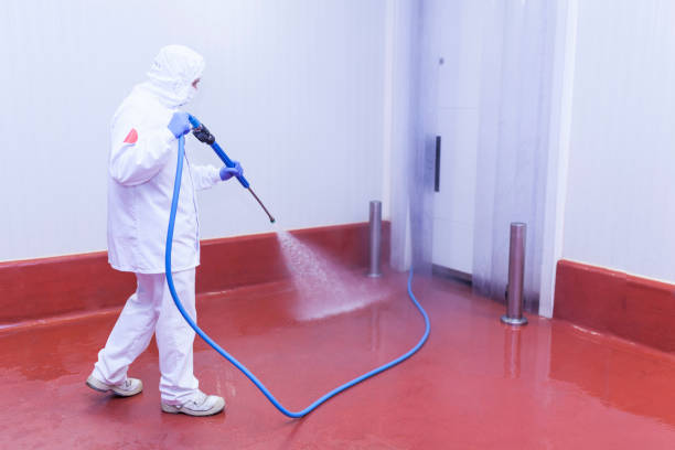 Best Rust Removal  in Csar Chvez, TX